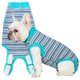 thumbnail image 1 of Traje de recuperación para perros Sebidtco hembra esterilizado heridas abdominales, 1 of 6