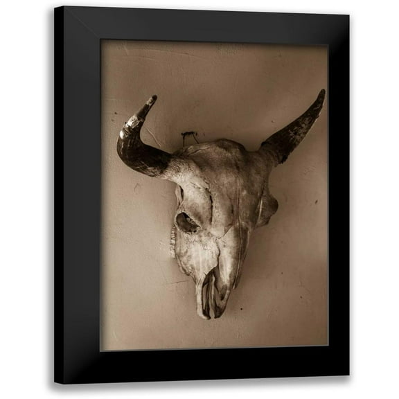 Mahan, Kathy 11x14 Black Modern Framed Museum Art Print Titled - Steer Skull