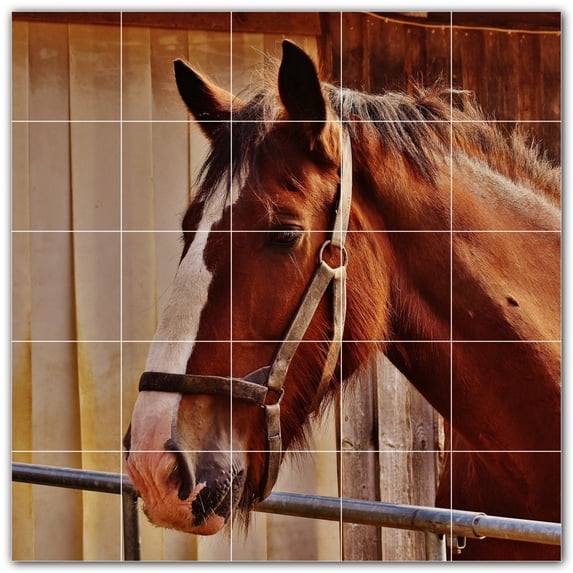 Picture-Tiles.com: Horse Ceramic Tile Wall Mural WAL500767-55XL. 60"W x 60"H using (25) 12" x 12" Ceramic Tiles-Satin Finish