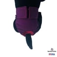 thumbnail image 3 of Barkertime Regal Purple Washable Dog Diaper - Made in USA, 3 of 6