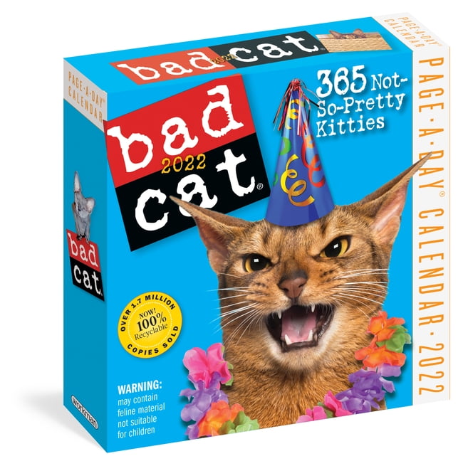 Bad Cat PageaDay Calendar 2022 365 not so pretty kitties (Calendar