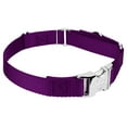thumbnail image 5 of Country Brook Petz® Purple Heavyduty Nylon Martingale with Premium Buckle, Small, 5 of 6