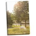 thumbnail image 2 of Gango Home Decor White Pony by Karyn Millet (Ready to Hang); One 24x36in Hand-Stretched Canvas, 2 of 4