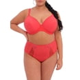 thumbnail image 2 of Elomi Women's Plus Size Bijou Underwire Banded Molded T-Shirt Bra, Cayenne, 38G, 2 of 4