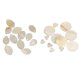 thumbnail image 1 of 24 Piezas de Abalorios de Concha Natural, Accesorios de Joyería, Bricolaje, 1 of 9