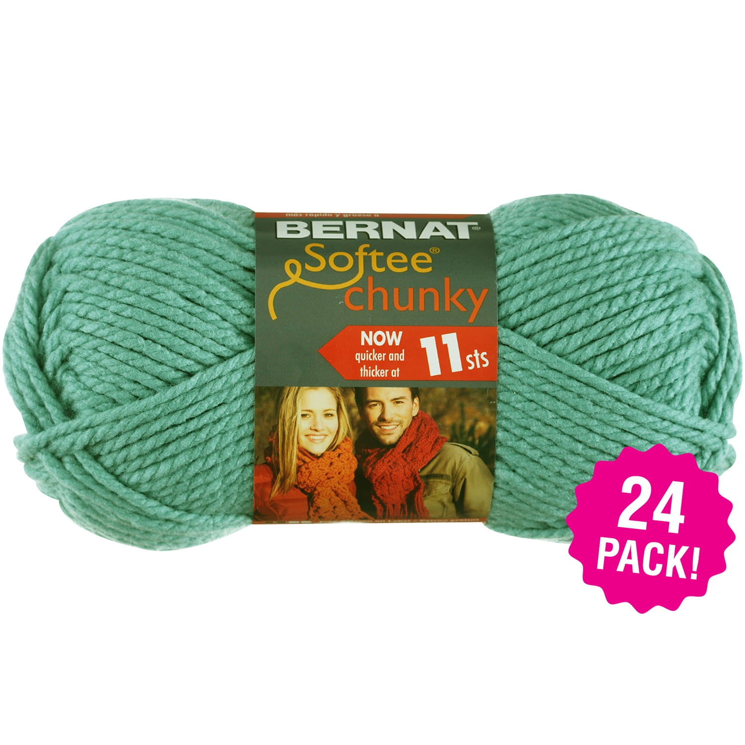 Bernat Softee Chunky Yarn Seagreen, Multipack of 24