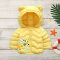 thumbnail image 5 of SDJMa Toddler Baby Girls Coat Cute Cartoon Dragonfly Windproof Jacket Puffer Jacket Warm Padded Jacket Bear Ears Hooded Coat Kids Fall Winter Clothes, 5 of 5