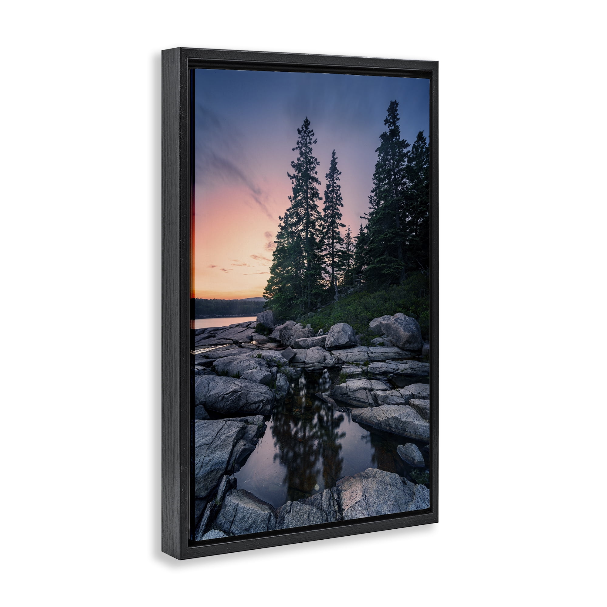 Stupell Industries Trees Reflected in Tide Pool Landscape & Nature Photography Black Floater Framed Canvas Art Print Wall Art, 21 x 31