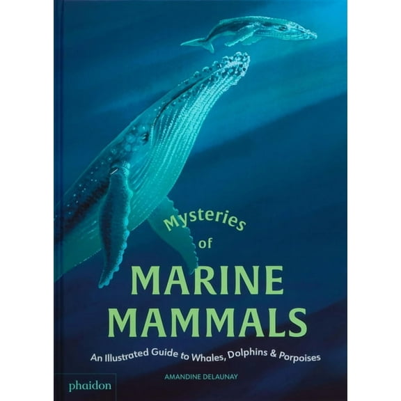 Mysteries of Marine Mammals: An Illustrated Guide to Whales, Dolphins, and Porpoises, (Hardcover)