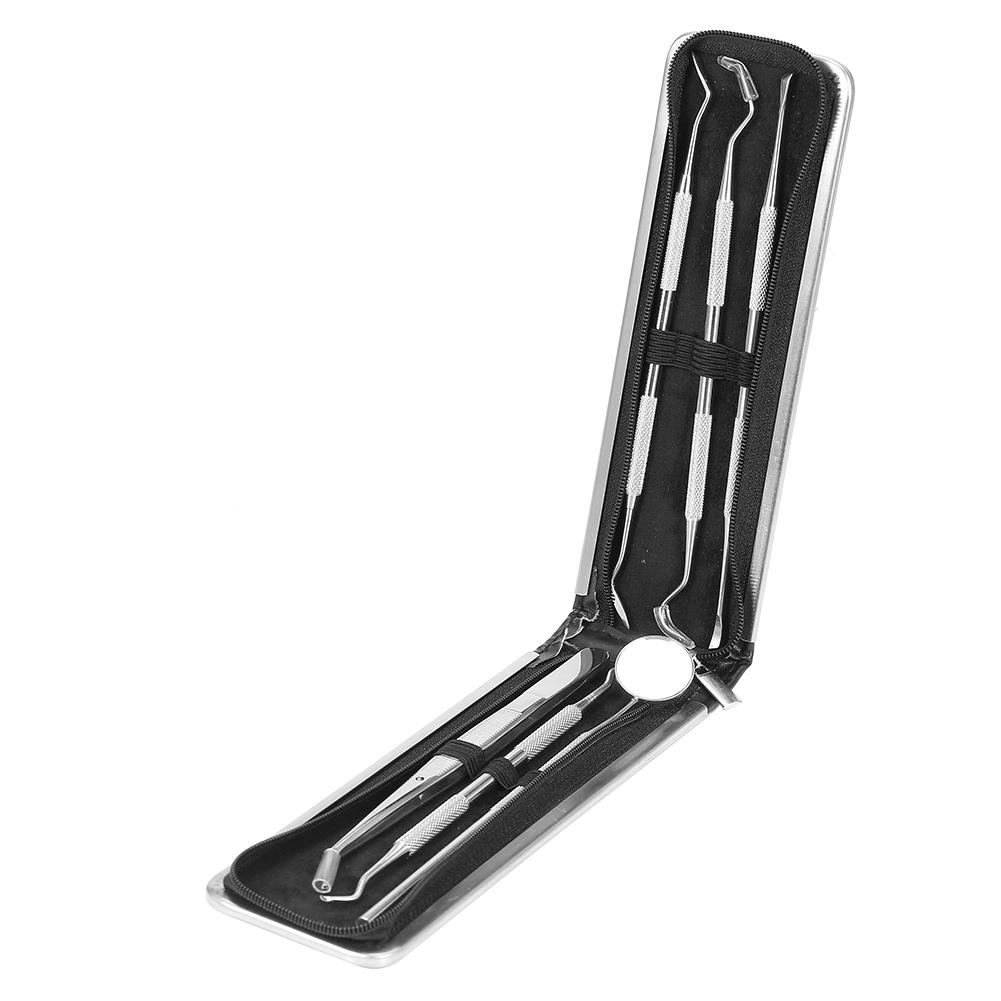 Qiilu Dental Tool Kit,6pcs/Set Professional Handle Stainless Dentist