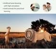thumbnail image 6 of Volnau Animal Toys Figurines Africa Figures Zoo Pack Christmas Birthday Gift Lion Jungle Forest King, 6 of 11