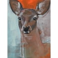 thumbnail image 2 of Parker, Jennifer Paxton 12x14 White Modern Wood Framed Museum Art Print Titled - Doe Eyes II, 2 of 4
