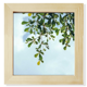 thumbnail image 1 of Hojas verdes, cielo azul Pantalla de escritorio de pared de fotograma cuadrado, 1 of 4