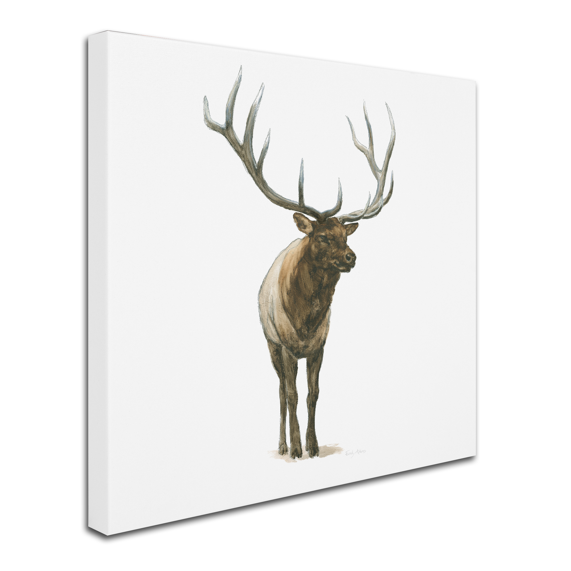 Trademark Fine Art 'Natural Majesty I' Canvas Art by Emily Adams