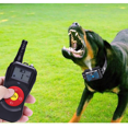 thumbnail image 2 of Collar de adiestramiento para perros, recargable, para perros pequeños, medianos y grandes, 3+1 modos de entrenamiento, control remoto de 800 m, collares de adiestramiento para perros, 2 of 5