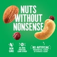 thumbnail image 6 of Emerald Nuts, Cashews and Almonds With Dried Cranberries, 100 Calorie Packs, 10 CT, 6.9 oz (Pack of 4), 6 of 10