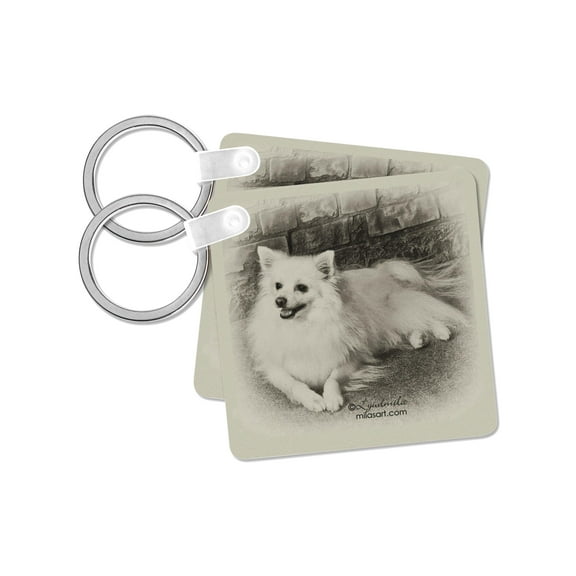 3dRose, American Eskimo Dog, set of 2 Key Chains