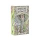 thumbnail image 1 of Spiritsong Tarot Cards Deck Games Oracle Party Playing Card Juego de mesa de Tarot inglés Divination Fate Entertainment26pcs Ts53 kaili Sencillez, 1 of 4