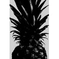 thumbnail image 2 of 1x Studio III 23x32 Black Ornate Wood Framed with Double Matting Museum Art Print Titled - Pineapple bw, 2 of 4