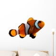 thumbnail image 1 of Clownfish Wall Decal by Wallmonkeys Peel and Stick Graphic (24 in W x 14 in H) WM294104, 1 of 4