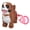 Brown White Black, variant on Pull Cord Activated Electric Dog Toy That Learns to Speak for Kids