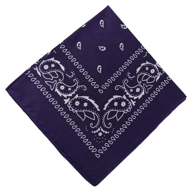 Bandana Coloré Foulard Bandana de Cowboy Foulard Paisley avec Design Double Face Motifs Multicolores pour Activités de Plein Air Festivals de Musique et Accessoires de Style Western 21.65 Po X 21.65