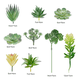 thumbnail image 3 of Plantas Artificiales Flores Suculentas 21 Pcs Decoración Planta Artificial Plantas Artificiales Xtellar verde, 3 of 3