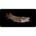 thumbnail image 1 of Tiger Musky Fish Photo License Plate, 1 of 1