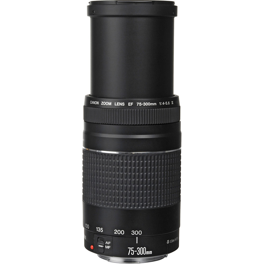 Canon EOS Rebel T6 Digital SLR Camera Kit w/ EF-S 18-55mm f/3.5-5.6 IS II + 75-300mm f/4-5.6 III + Sigma 30mm f/1.4 Art Lens + 0.43x Macro + 2.2x Telephoto + 64GB + Flash + Bag + LED Light + Filters - image 4 of 11