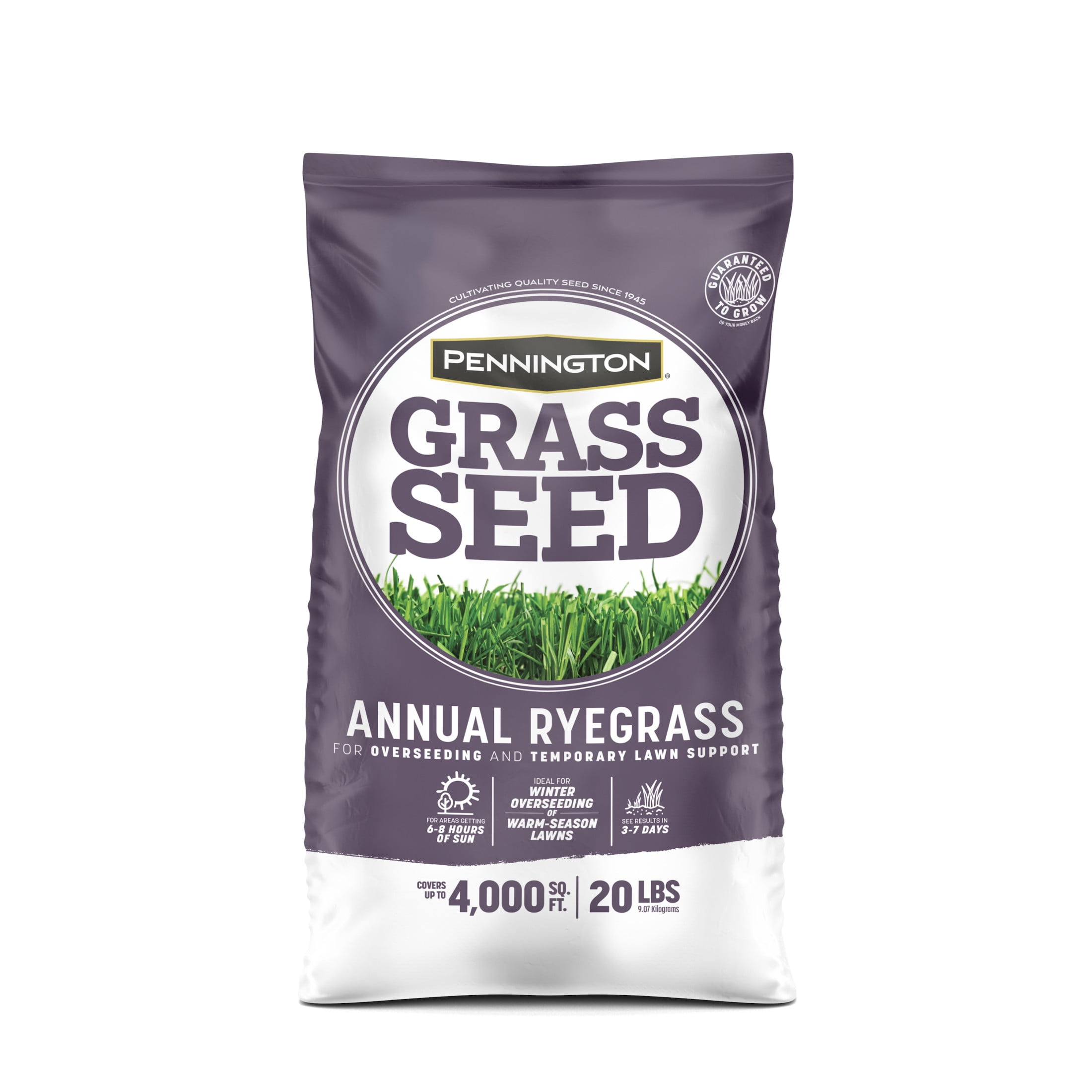 Pennington Annual Ryegrass Grass Seed, 20lb, Full Sun to Partial Shade, Rye Grass Seeds for Lawn, 1 Bag