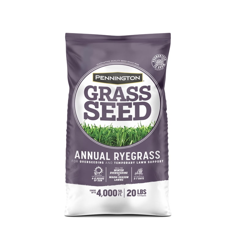 LINN Perennial Ryegrass Seed – Fast Germination, Sun & Shade, Wide Adaptation