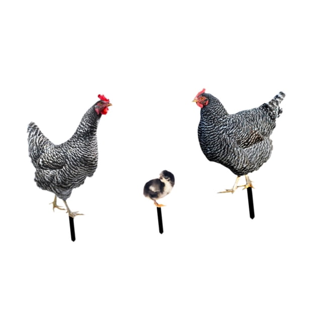 Estatuas de Pollo, Estacas de Jardín, Figuras de Pollo, Adornos de Suelo, Esculturas de Animales de Arte de Patio para Decoración de Caminos, 3 Piezas