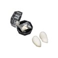 thumbnail image 1 of Vogacara 12 Uds de vampiro Día de Todos los accesorios de diente falso adornos accesorio de mascarada suministros para el hogar regalos cuidado de los oídos caja de 13 mm Vogacara  CE011457-05B, 1 of 6