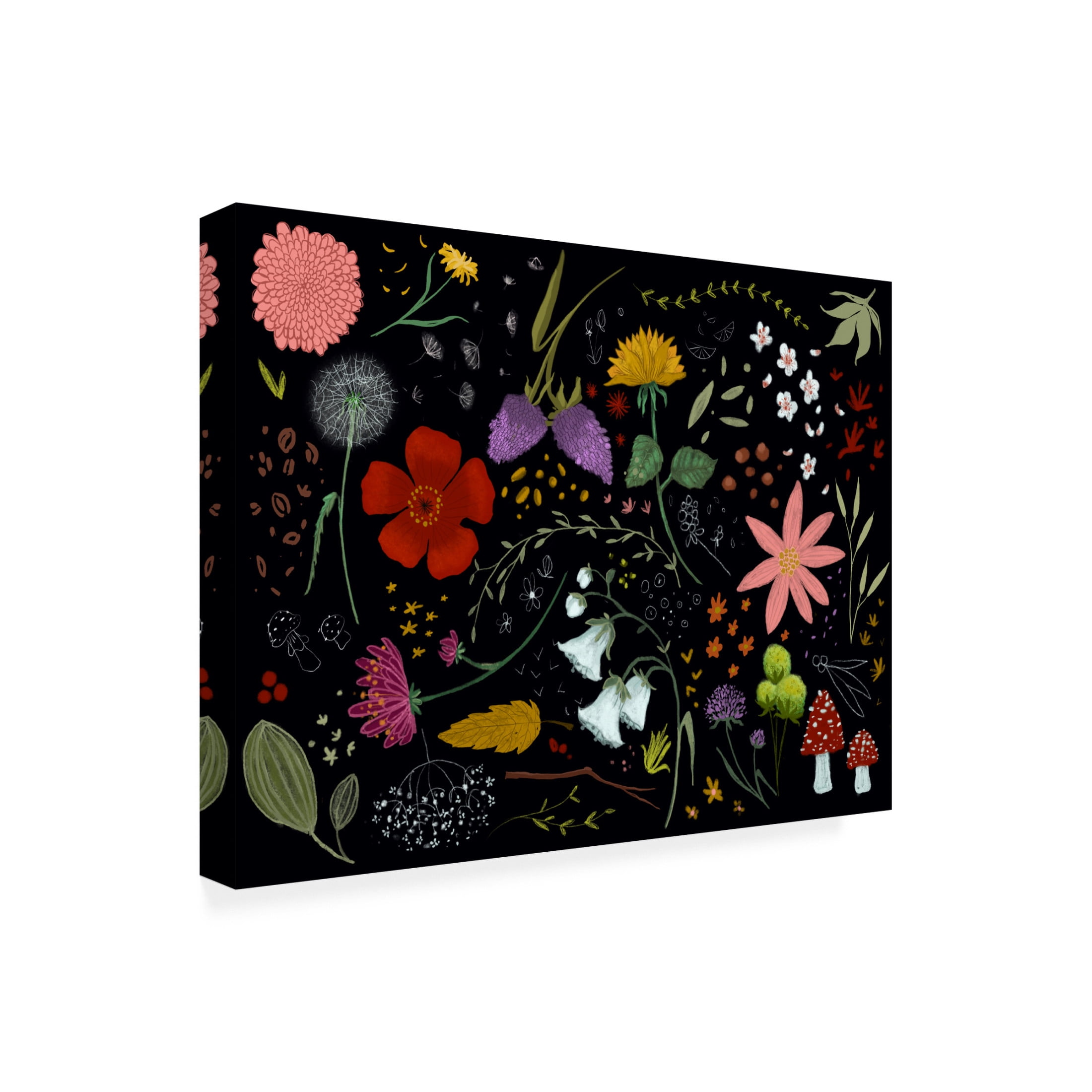 Canvas Wall Art - Christine Rotolo 'Wildflowers' Wall Art for Living Room, Bedroom, or Office Décor by Trademark Fine Art - 47 x 35 Inches