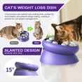 thumbnail image 3 of KADTC Cat Weight Loss Bowl for Indoor Cats Slow Feeder Kitten Puzzle Toys Treat Dispensing Food Dispenser Kitty Enrichment Game, 3 of 6