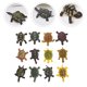 thumbnail image 5 of 24 figuras de tortuga de plástico para acuario, modelo de tortuga, simulación de organismo marino, 5 of 7