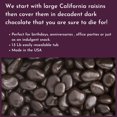 thumbnail image 2 of WinCrest Dark Chocolate Covered Raisins - 1.5 Lb Tub, 2 of 4
