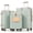 Grey Green, variant on Euroco 3 Piece Luggage Sets, Lightweight Durable Hardshell Suitcase set with 360° Spinner Wheels,TSA Lock & Side Hooks,Large Checked Travel Suitcase for Family,Grey Green