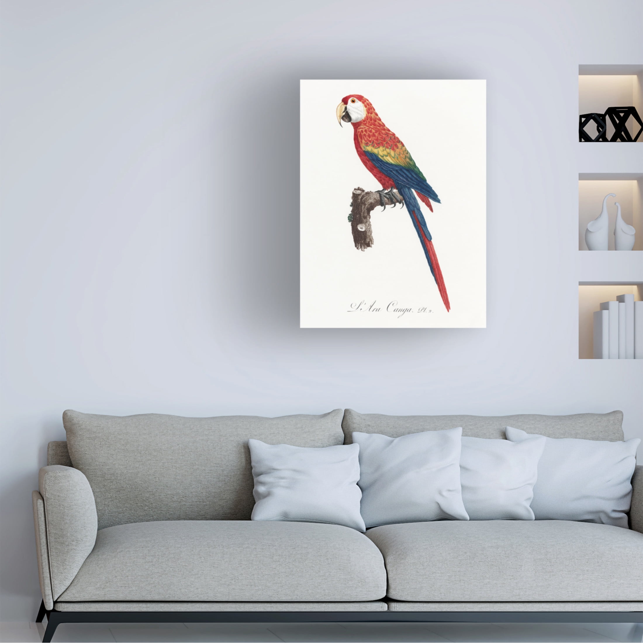 Trademark Fine Art Francois Levaillant Levaillant Parrot II Canvas Wall Art
