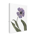 thumbnail image 2 of Trademark Fine Art 'Xray Tulip X' Canvas Art by Judy Stalus, 2 of 4