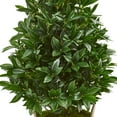 thumbnail image 2 of Nearly Natural 39-In. Bay Leaf Cone Topiary Artificial Tree in Farmhouse Planter, 2 of 3