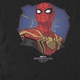 thumbnail image 2 of Men's Marvel Spider-Man: No Way Home Web of a Hero Graphic Tee Black X Large, 2 of 5