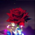 thumbnail image 4 of Jinsinto Beauty And The Beast Rose Gift Kit, Red Silk Rose And Led Light, 4 of 5
