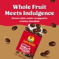 thumbnail image 4 of Sun-Maid® Chocolate Yogurt Covered Raisins 6-Pack/1oz Cartons, 4 of 7