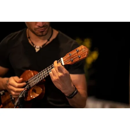 Elite Series Concert Acoustic-Electric Ukulele w/ Bag