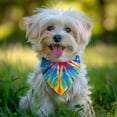 thumbnail image 2 of Dog Bandana 1 Pack,Colorful Rainbow Tie Dye Spiral Pattern Bandanas for Dogs,Cat Bandana,Small/ Large Dog Bandana 2 Size,Dog Bandanas, 2 of 6