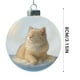 thumbnail image 2 of Decoraciones de Árbol de Navidad Lindos Gatos 2D Colgante Plano Ornamento, Gato Regalos de Navidad para Árbol Mesa Pared Decoración Festiva Del Hogar, 2 of 5