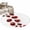 Red, variant on Ladybug Bathroom Rug Washable 2x3 Entryway Rug Non Slip Red Black Animals Front Door Mat Low Pile Indoor Doormat Throw Floor Carpet for Kitchen Bedroom Entrance