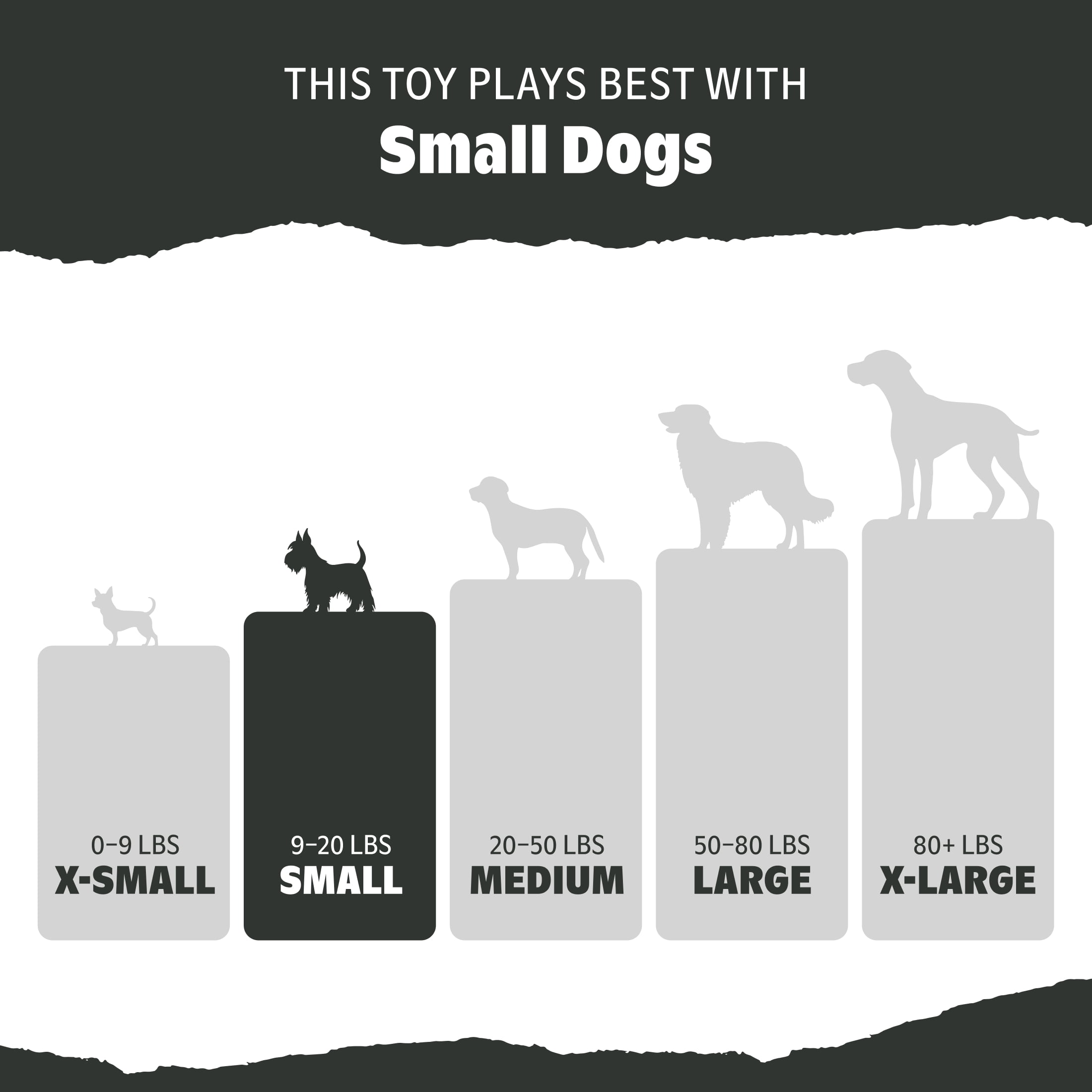Trixel Durable Chewable Dog Toy with Built-in Squeaker