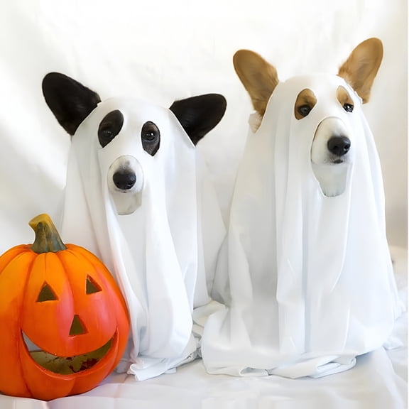 TELOLY Halloween Ghost Dog Costume Dog White Costumes Ghost Costumes for Dogs Cats Halloween Dog Cosplay Costume Halloween Trick or Treat Party Cosplay for Dog (29 x 47 inches), 75*120cm